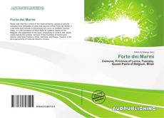 Buchcover von Forte dei Marmi