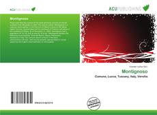 Bookcover of Montignoso