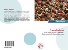 Buchcover von Conus Bullatus