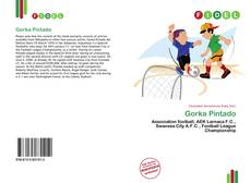 Portada del libro de Gorka Pintado