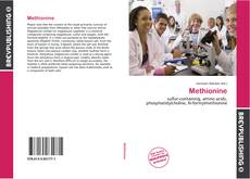 Обложка Methionine