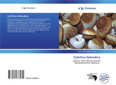 Buchcover von Cylichna Zelandica