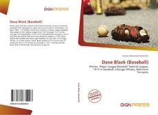 Bookcover of Dave Black (Baseball)