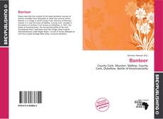 Banteer的封面