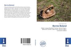 Capa do livro de Bernie Boland 