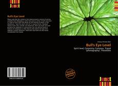 Bookcover of Bull's Eye Level