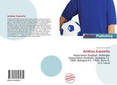Capa do livro de Andrea Esposito 