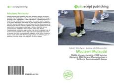 Portada del libro de Mbulaeni Mulaudzi