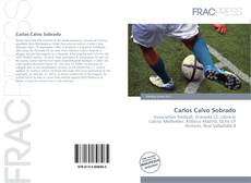 Portada del libro de Carlos Calvo Sobrado