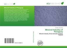 Mineral Industry of Paraguay kitap kapağı