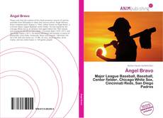 Portada del libro de Ángel Bravo