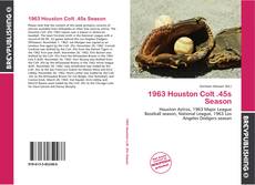 Bookcover of 1963 Houston Colt .45s Season