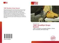1887 Brooklyn Grays Season的封面
