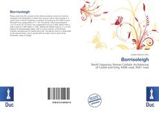 Bookcover of Borrisoleigh