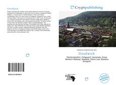 Bookcover of Goodwick