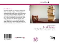 Bookcover of David Bottoms