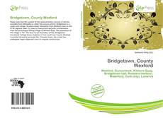 Buchcover von Bridgetown, County Wexford