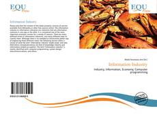 Bookcover of Information Industry