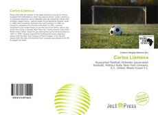 Portada del libro de Carlos Llamosa