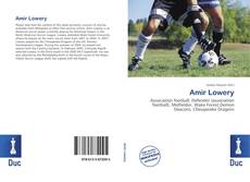 Bookcover of Amir Lowery