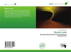 Обложка Bosten Lake