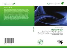 Bookcover of Homer Bush