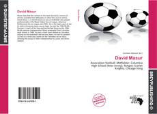 Buchcover von David Masur