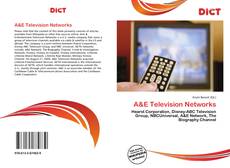 Bookcover of A&E Television Networks