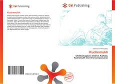 Buchcover von Kudremukh