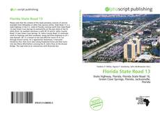 Bookcover of Florida State Road 13