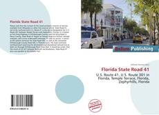 Bookcover of Florida State Road 41