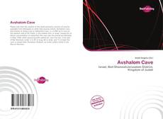 Capa do livro de Avshalom Cave 