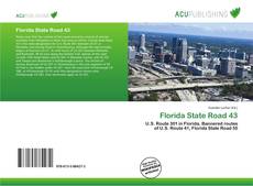 Bookcover of Florida State Road 43