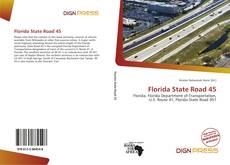 Bookcover of Florida State Road 45