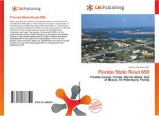 Capa do livro de Florida State Road 699 