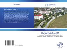 Capa do livro de Florida State Road 81 