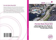 Capa do livro de Florida State Road 823 