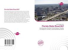 Capa do livro de Florida State Road 867 