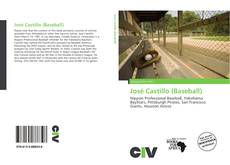 Bookcover of José Castillo (Baseball)