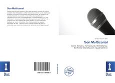 Bookcover of Son Multicanal