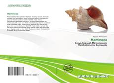 Buchcover von Haminoea