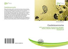 Bookcover of Castletownroche