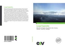 Portada del libro de Luigi Esposito