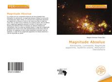 Buchcover von Magnitude Absolue