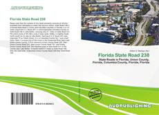 Borítókép a  Florida State Road 238 - hoz