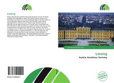 Liesing kitap kapağı