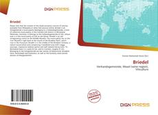 Briedel的封面