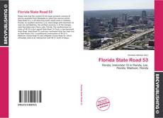 Florida State Road 53的封面