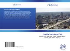 Capa do livro de Florida State Road 568 