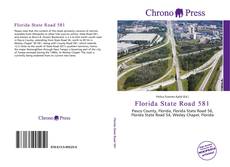 Florida State Road 581 kitap kapağı